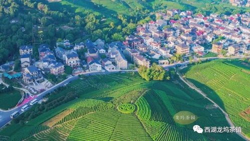 龍塢茶鎮成功創建國家4a級旅游景區