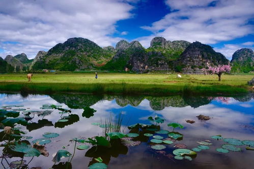 普者黑,一個被譽為 天邊夢境 人間瑤池 的地方