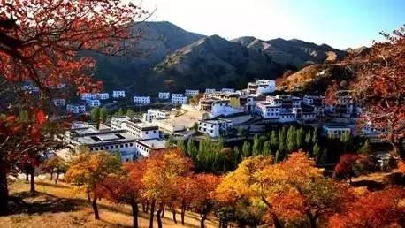 作為通遼人,我們居然有這么多錢(qián)可以領(lǐng) 現(xiàn)在看還不晚...