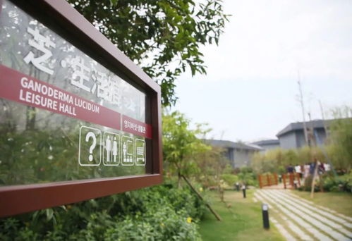 養(yǎng)老好地方,在融安過上 七樂融融 好生活