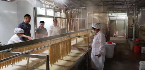 龍門地派腐竹成為假期旅游手信禮品,正在探討規(guī)模經(jīng)營打響品牌