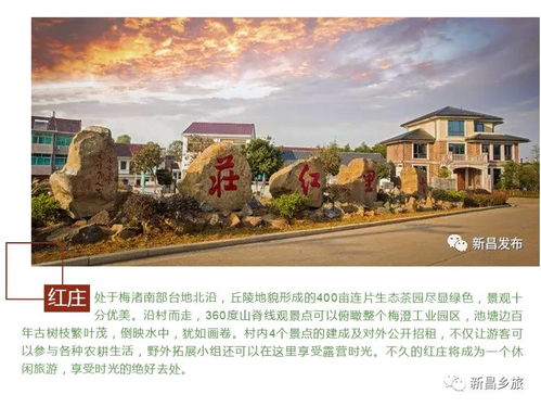 梅渚鎮紅莊村鄉村旅游景點承包經營權招租公告