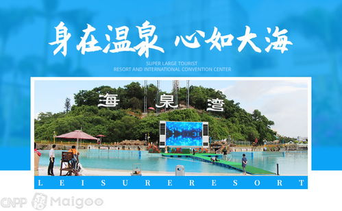 品牌榜 2019 2020年溫泉十大品牌排行榜 投票結果公布