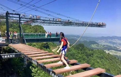 旅游景區(qū)打卡網(wǎng)紅營(yíng)銷