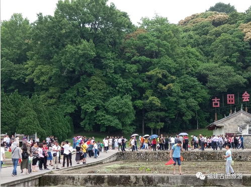 古田旅游區(qū)提升景區(qū)品質(zhì),五一人氣火爆,廣受歡迎