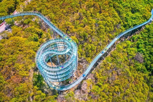 魯商 紅葉柿巖景區,上線山東有線 大美淄博 精彩欄目啦