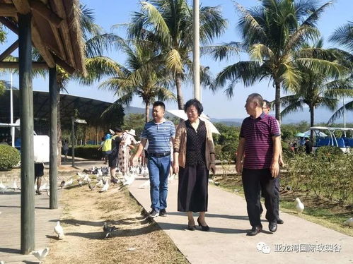 全國總工會 省總工會及三亞市總工會到我景區調研指導