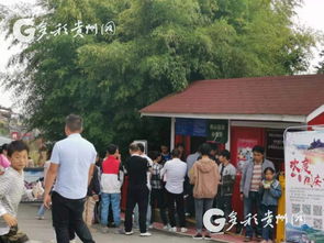 多彩貴州網 2019年國慶,百里杜鵑開啟景區運營轉型之路