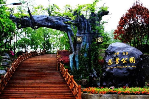 微新聞 相約龍王埡 歡樂過 五一 暨竹溪旅游攻略