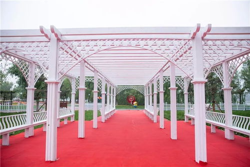 千家旅行社進淄博 高青踩線營銷暨安瀾灣 首屆風車藝術節 盛大開幕