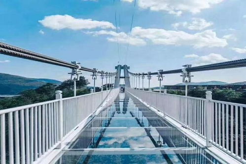 景區網紅項目與旅游景區經營管理